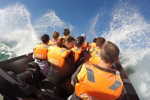 Noosa Thriller - 500hp Ocean Adventure Ride - Hotel QLD 4