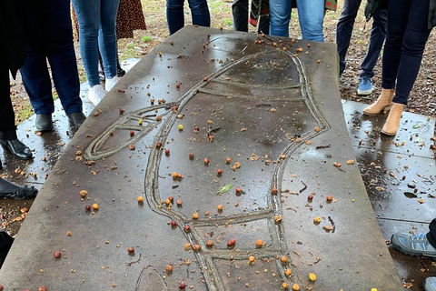 Illi-Langi The Rocks Aboriginal Dreaming Tour - Hotel QLD 4