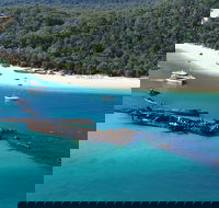 All Inclusive Tangalooma Wrecks Cruise Tour From Gold Coast - Hotel QLD