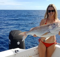 1/2 Day 5 Hour Offshore Fishing Charter - Hotel QLD