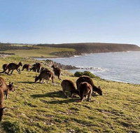 Kangaroo Island Personal Group Tours - Hotel QLD