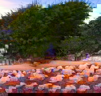 Byron Bay and the Crystal Castle Day Tour from Gold Coast - Hotel QLD