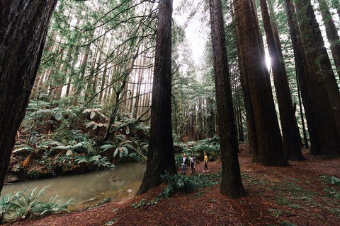 LGBT+ Friendly 3 Day Private Tour Great Ocean Road & Phillip Island - Hotel QLD 2