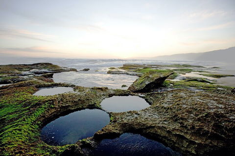 LGBT+ Friendly 3 Day Private Tour Great Ocean Road & Phillip Island - Hotel QLD 5