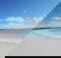 Shipwreck Special Nature Tour/Half Day Tour - Hotel QLD