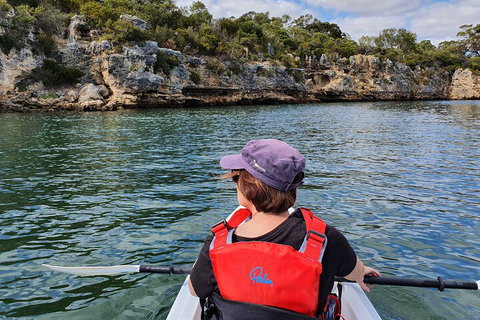 Cliffs And Caves Kayak Tour In Swan River - Hotel QLD 0