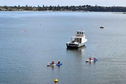 Cliffs And Caves Kayak Tour In Swan River - Hotel QLD 2