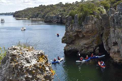Cliffs And Caves Kayak Tour In Swan River - Hotel QLD 5