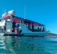 Best of Moreton Bay Cruise - Hotel QLD