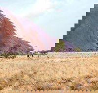 Uluru Sunrise and Guided Base Walk - Hotel QLD