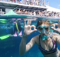 Great Barrier Reef Day Cruise from Cairns Including Snorkeling and Marine Biologist Presentation - Hotel QLD