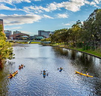 Adelaide City Kayak Tour - Hotel QLD