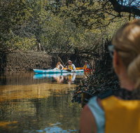 Kayak Tour in Adelaide Dolphin Sanctuary - Hotel QLD
