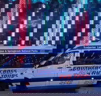 Evening Rainforest  Glow Worm Experience - Hotel QLD