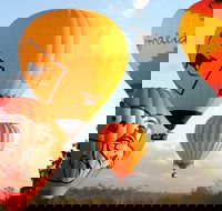 Natural Bridge  Springbrook Waterfalls Tour  Hot Air Balloon with Breakfast - Hotel QLD