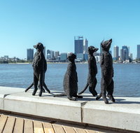 Perth by Bike Private Tour with a Local - Hotel QLD