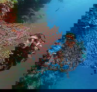 Silversonic Outer Great Barrier Reef Dive and Snorkel Cruise from Port Douglas - Hotel QLD