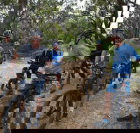 Fully guided E-Mountain Bike Tour on the beautiful Mornington Peninsula. - Hotel QLD