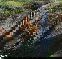 7 Days Darwin Kakadu National Park Katherine Gorge Touring Package - Hotel QLD