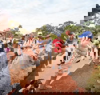 Uluru Kata Tjuta and Kings Canyon Camping Safari from Ayers Rock - Hotel QLD