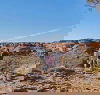 The Amazing Kings Canyon 4-Hours Walking Tour and Hike - Hotel QLD