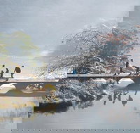 3.5 Hours Walking Tour to Cataract Gorge with Local Guide - Hotel QLD