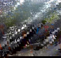 Active Day Tour One-Way from Launceston to Hobart via Wineglass Bay - Hotel QLD