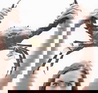 The Ultimate Gold Coast Attractions Pass - Hotel QLD