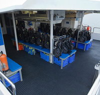 Silverswift Outer Great Barrier Reef Dive and Snorkel Cruise from Cairns - Hotel QLD