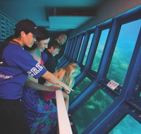 Great Barrier Reef Adventure from Cairns - Hotel QLD