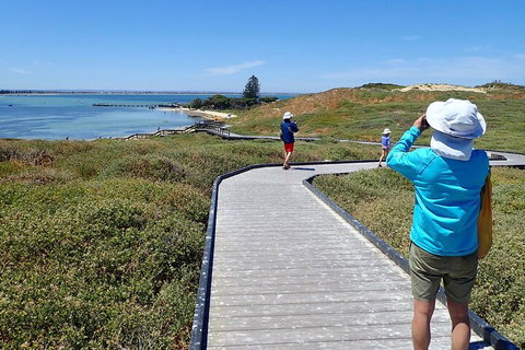 Penguin And Seal Islands Sea Kayaking Experience - Hotel QLD 1