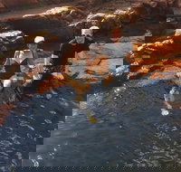 One Day Litchfield Park Adventures - Hotel QLD