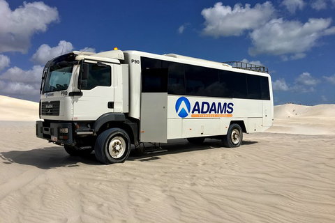 Pinnacles Desert, Koalas And Sandboarding 4WD Day Tour From Perth - Hotel QLD 2
