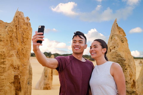 Pinnacles Desert, Koalas And Sandboarding 4WD Day Tour From Perth - Hotel QLD 4