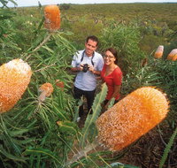 Best of Perth Wildflower Season Day Trip - Hotel QLD