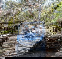 Small-Group Buggy Tour at Little Sahara with Guide - Hotel QLD