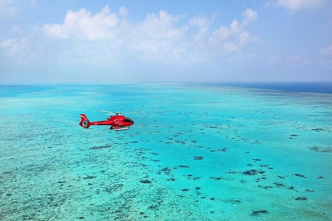 Ultimate Great Barrier Reef And Rainforest 45-minute Helicopter Tour - Hotel QLD 2