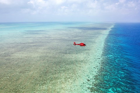 Ultimate Great Barrier Reef And Rainforest 45-minute Helicopter Tour - Hotel QLD 5