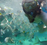 2-Day Moreton Island 4WD Camping Tour from Brisbane - Hotel QLD
