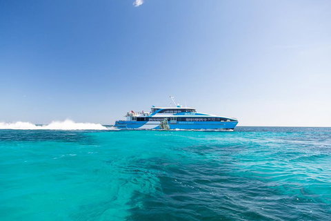Rottnest Island Bike, Snorkel & Ferry Package From Fremantle - Hotel QLD 0