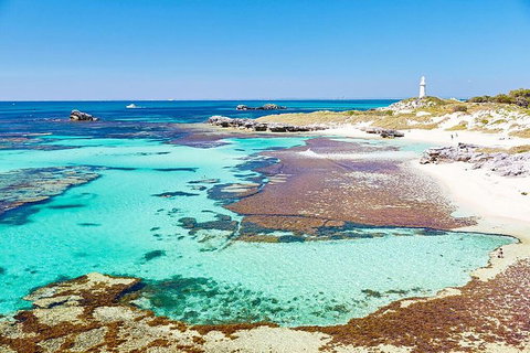 Perth To Rottnest Island Roundtrip Ferry Ticket - Hotel QLD 2
