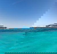 Rottnest Island Bayseeker Day Trip from Perth - Hotel QLD