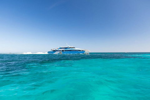 Rottnest Island Settlement Explorer Segway Package From Perth - Hotel QLD 1