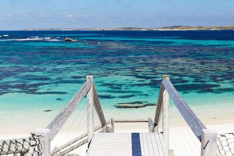 Rottnest Island Settlement Explorer Segway Package From Perth - Hotel QLD 4