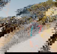 Self-Guided Point Nepean National Park Bike Hire - Hotel QLD