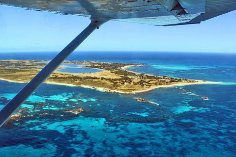 Wave Rock & Rottnest Island - Air & Ground Tour - Hotel QLD 1