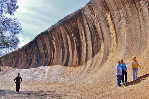 Wave Rock & Rottnest Island - Air & Ground Tour - Hotel QLD 2