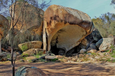 Wave Rock Half Day Air & Ground Tour - Hotel QLD 1