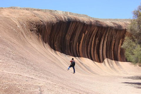 Wave Rock Half Day Air & Ground Tour - Hotel QLD 3