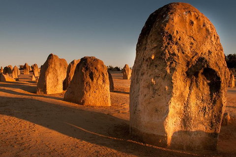 Wave Rock And Pinnacles Air & Ground Tour - Hotel QLD 1